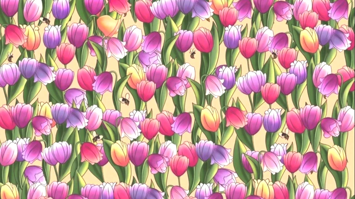 resim-2025-08-30-003604854.png