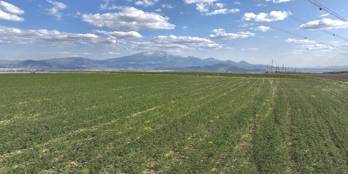 kayseri-bulent-saklav-tarimsal-uretim.jpg